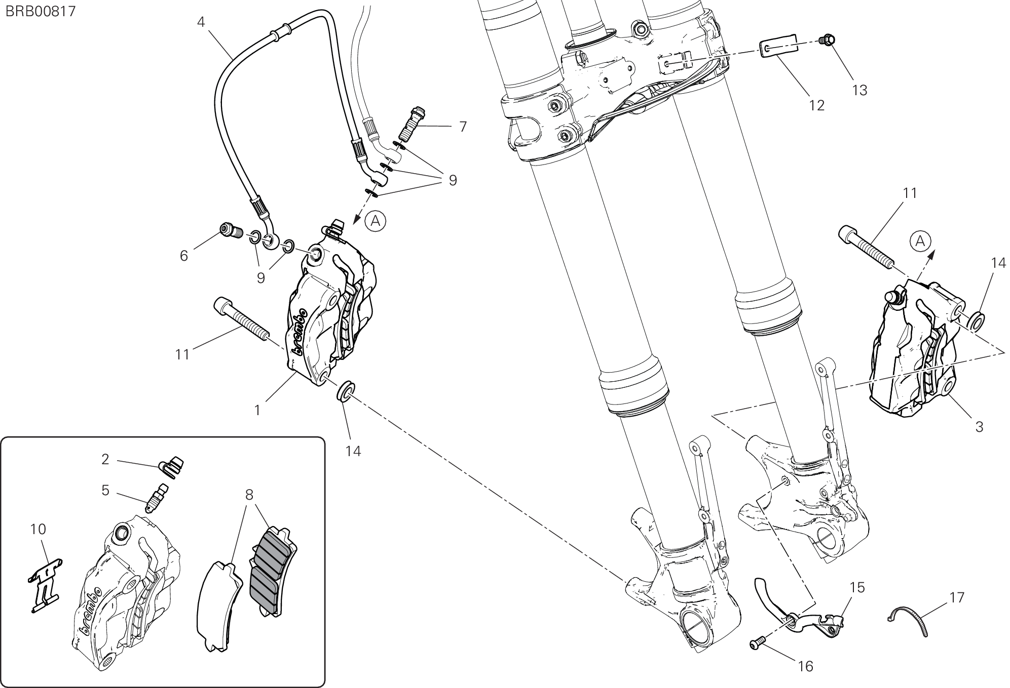 20B SYSTEME DE FREIN AVANT POUR MULTISTRADA V4 RS 2024