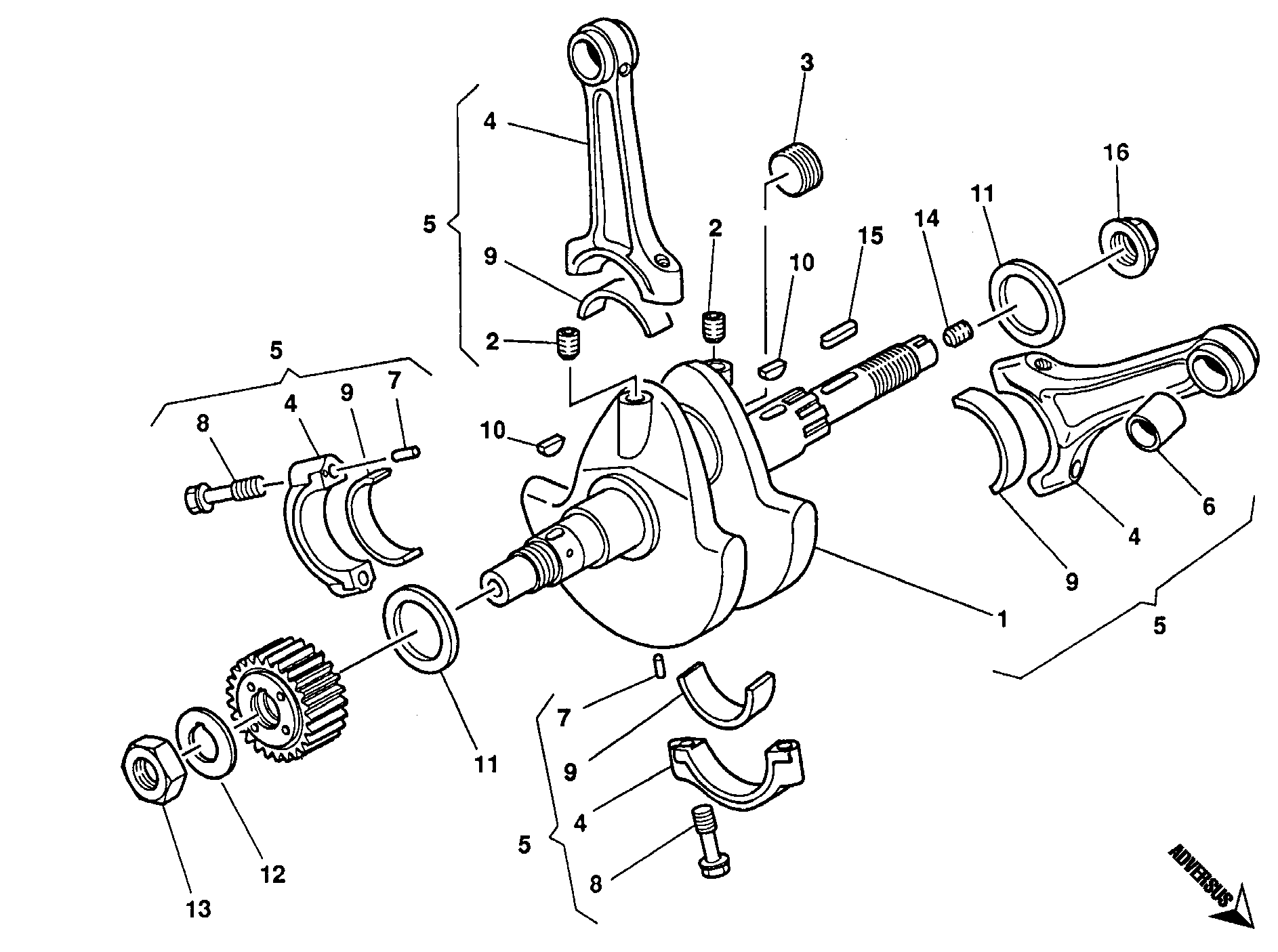 006 VILEBREQUIN POUR MONSTER 600 1993