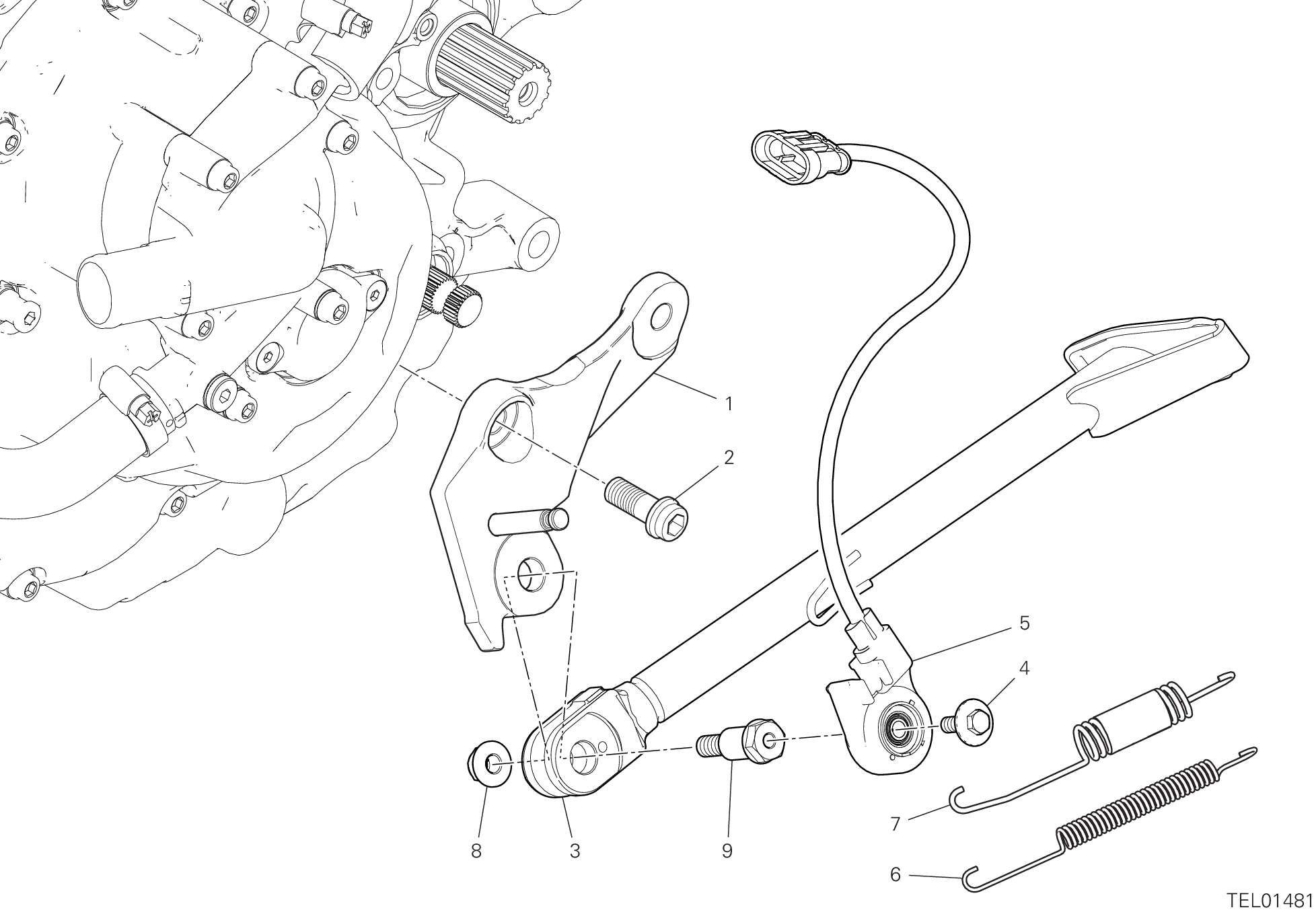 15A CAVALLETTO POUR MONSTER SP 2023