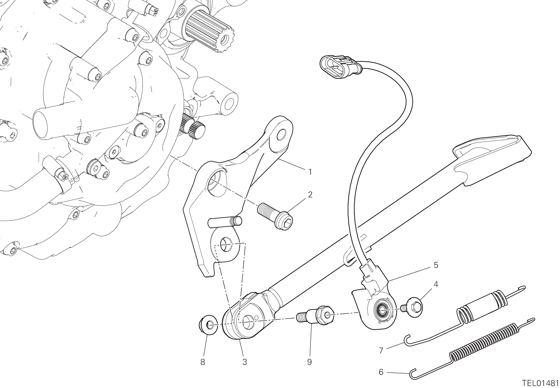 15A CAVALLETTO POUR MONSTER 2024