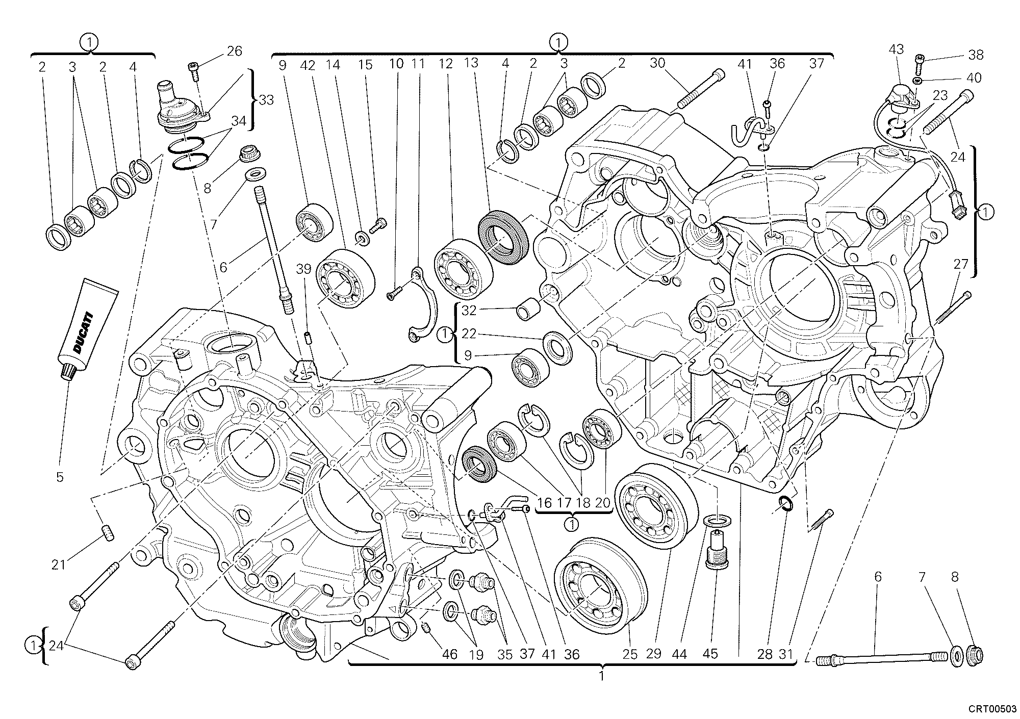 010 CARTER MOTEUR POUR MONSTER 1100 S ABS 2010