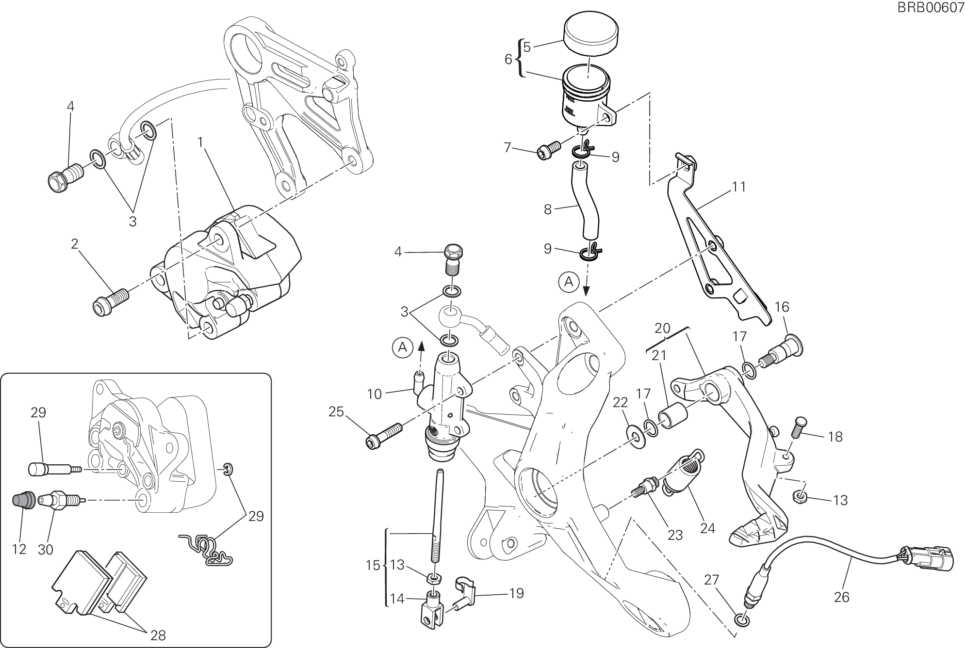 025 SYSTEME DE FREIN ARRIERE POUR MONSTER 821 2018