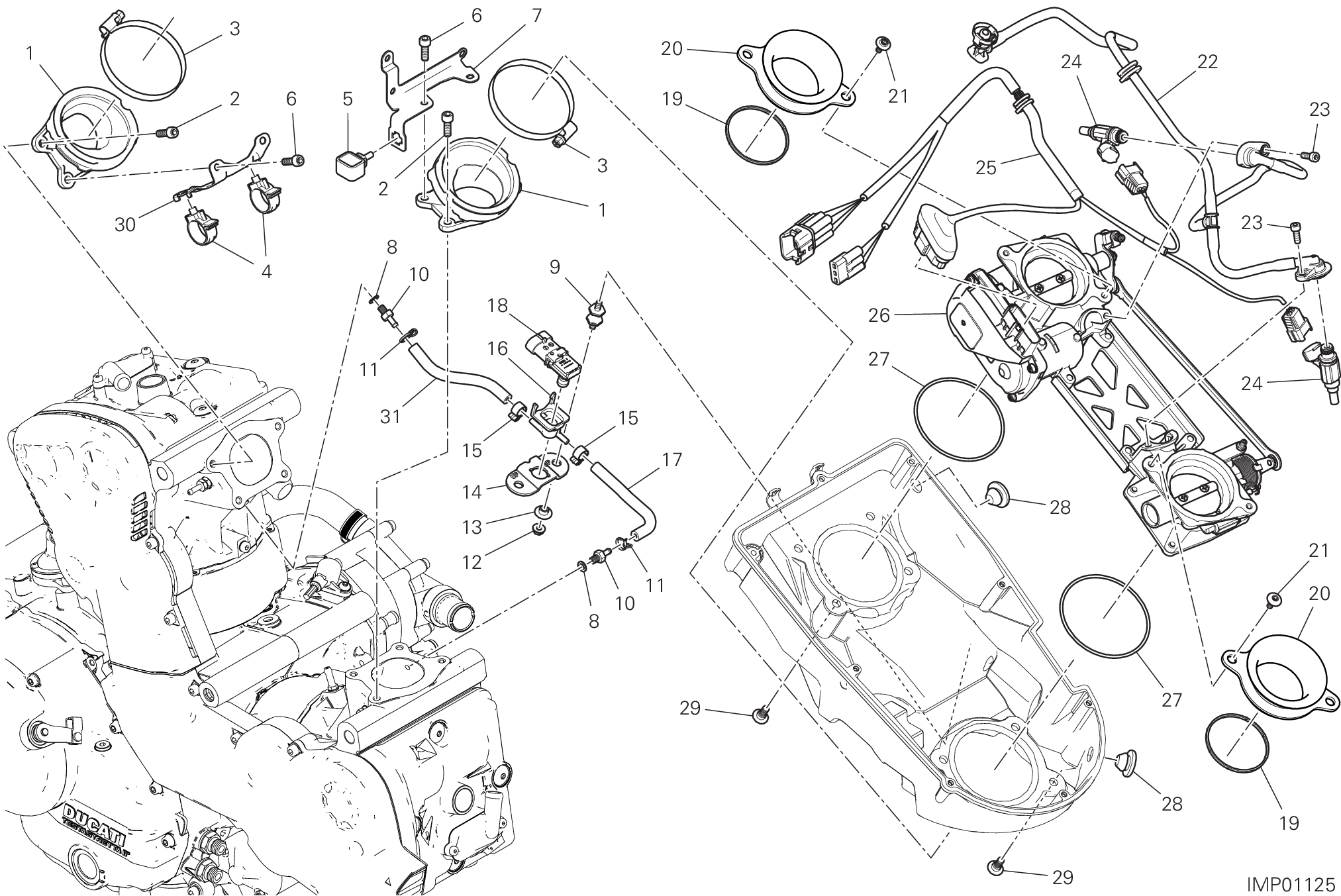 017 CORPS PAPILLON POUR SUPERSPORT 2020