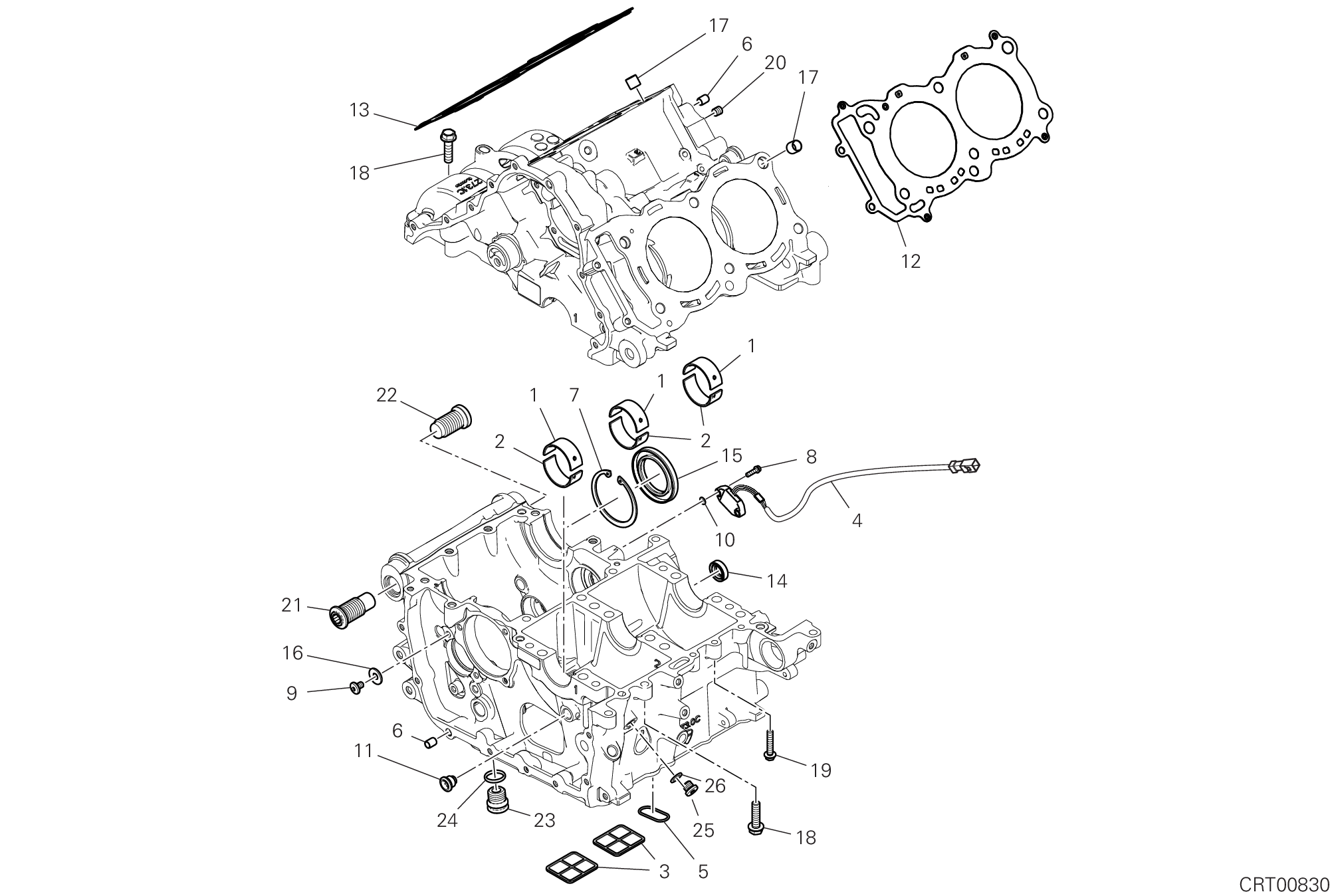 09B PAIRE DE DEMI CARTERS POUR SUPERBIKE PANIGALE V4 R 2020