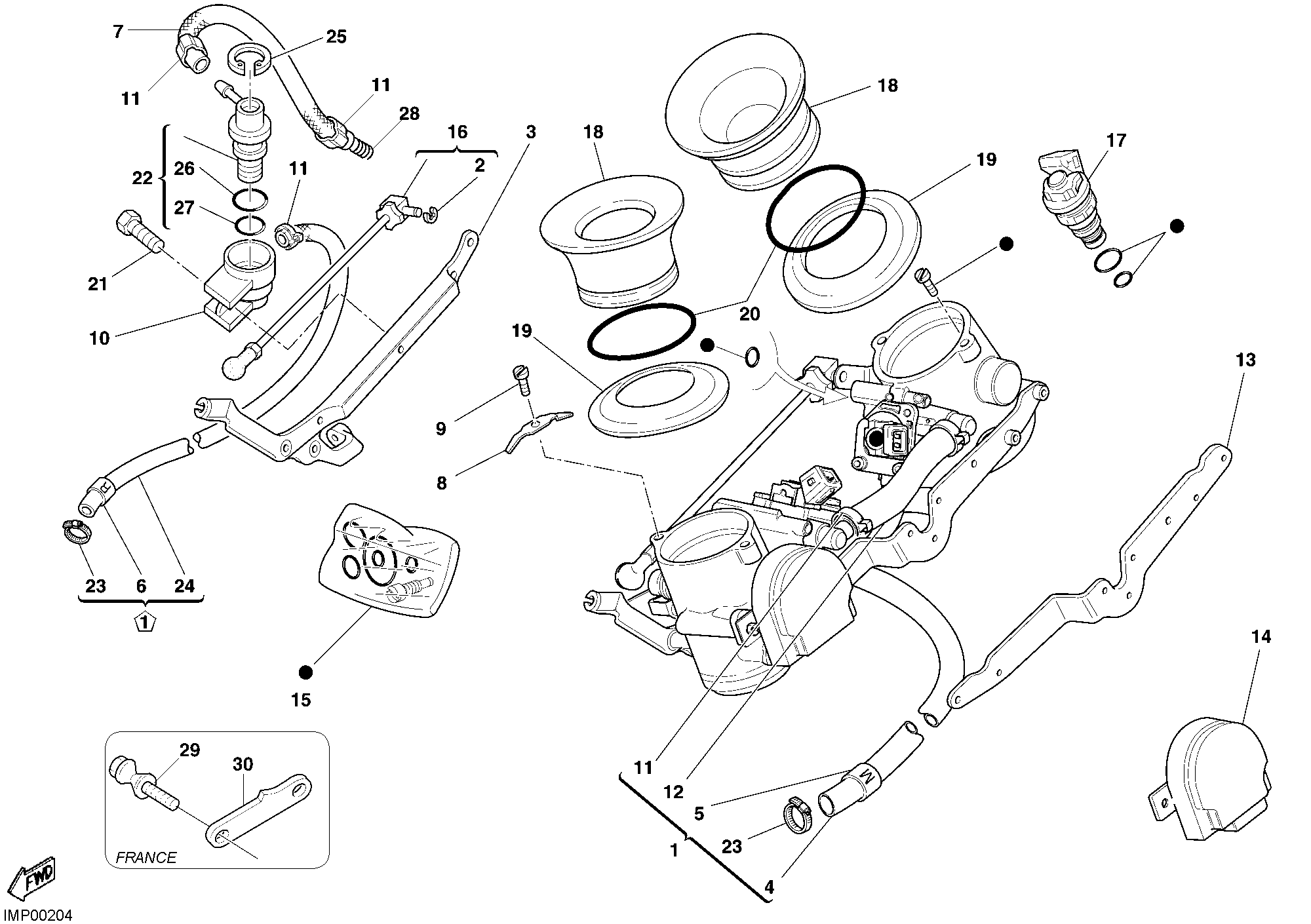 016 CORPS PAPILLON POUR MONSTER S4R 2005