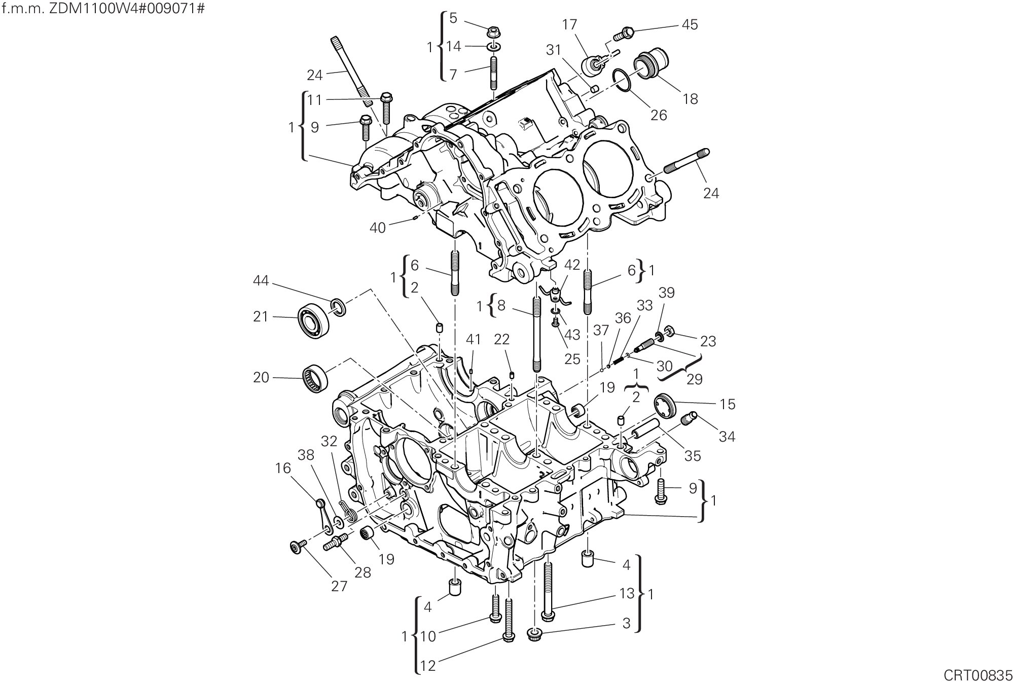 09A PAIRE DE DEMI CARTERS POUR SUPERBIKE PANIGALE V4 2019
