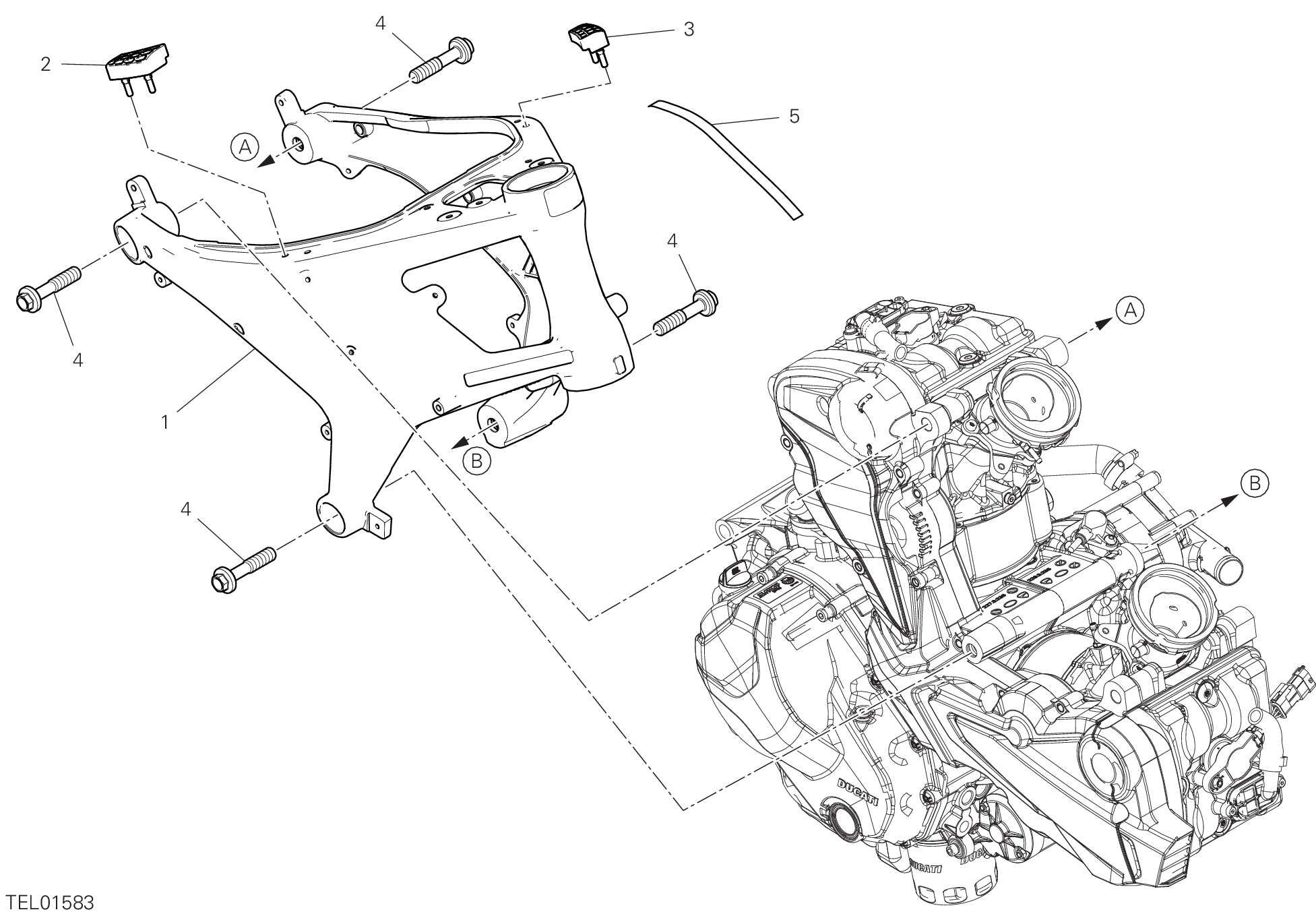 32A CADRE POUR MONSTER SP 2023