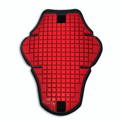 PROTECTEUR DORSAL "WARRIOR 2" HOMME DUCATI